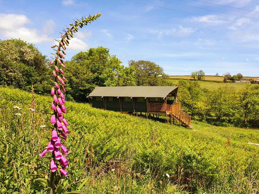Brackenhill Glamping - Safari Tent With Hot Tub - Sleeps 6 Ivybridge Exteriér fotografie